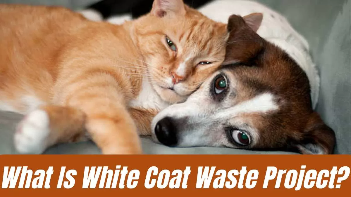 What is White Coat Waste Project?