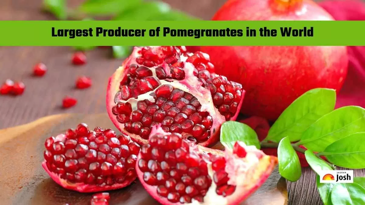 Largest Producer of Pomegranates in the World?