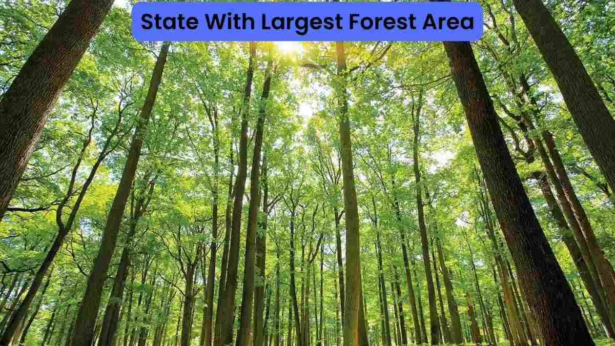 Which Indian State Has The Largest Forest Cover By Area?