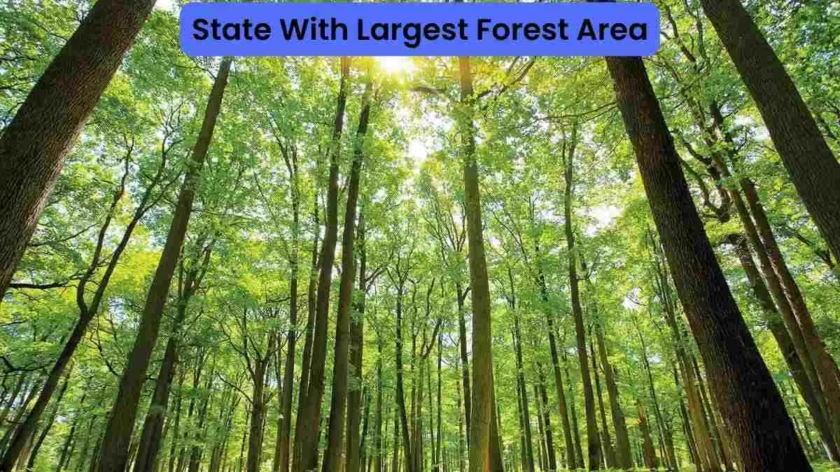 Which Indian state has the largest forest cover by area?
