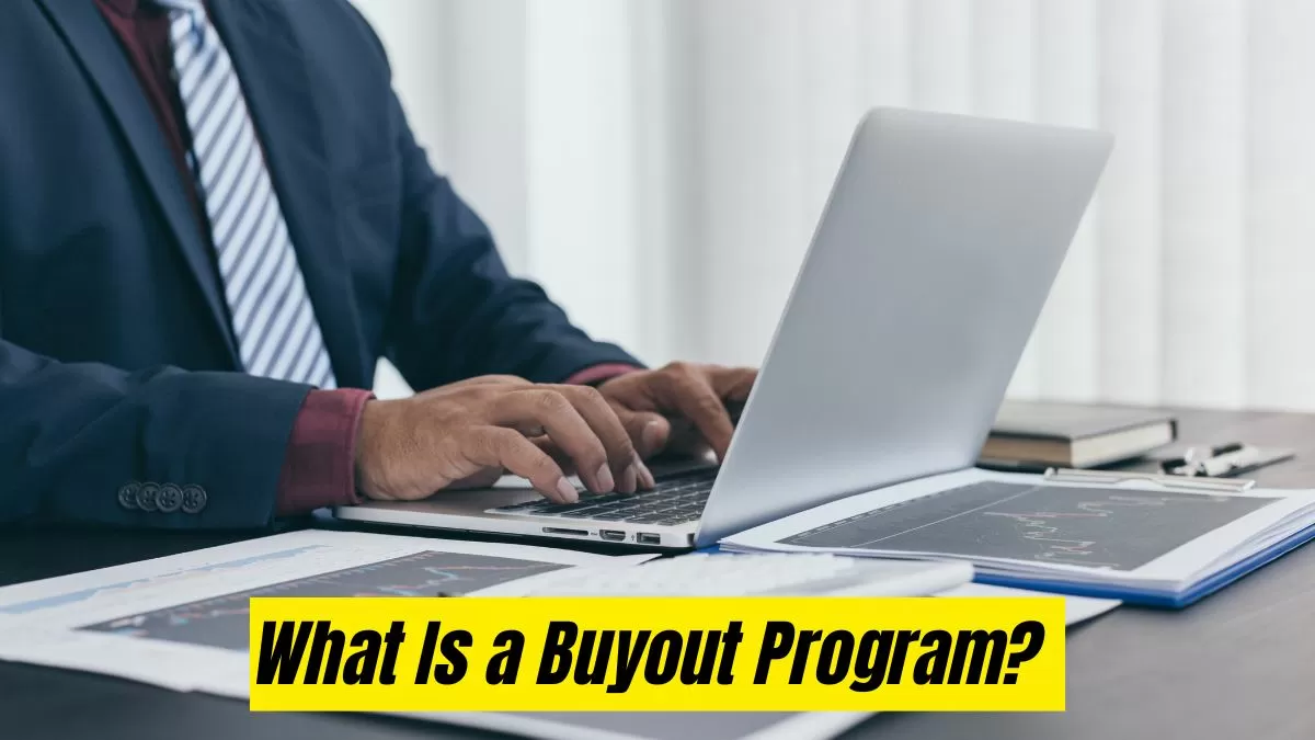 What is a buyout program?
