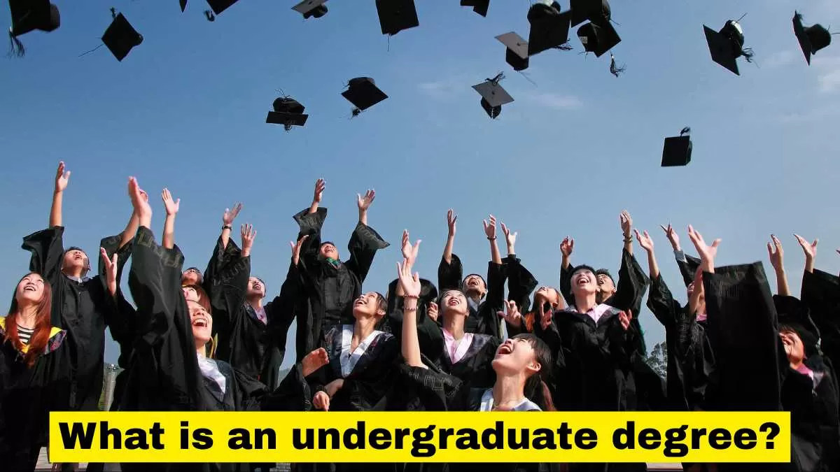 What is an undergraduate degree?
