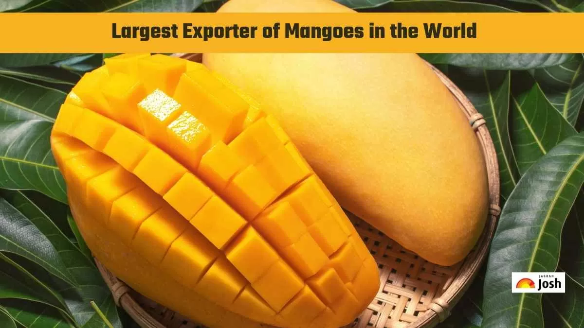 largest producer of mango 