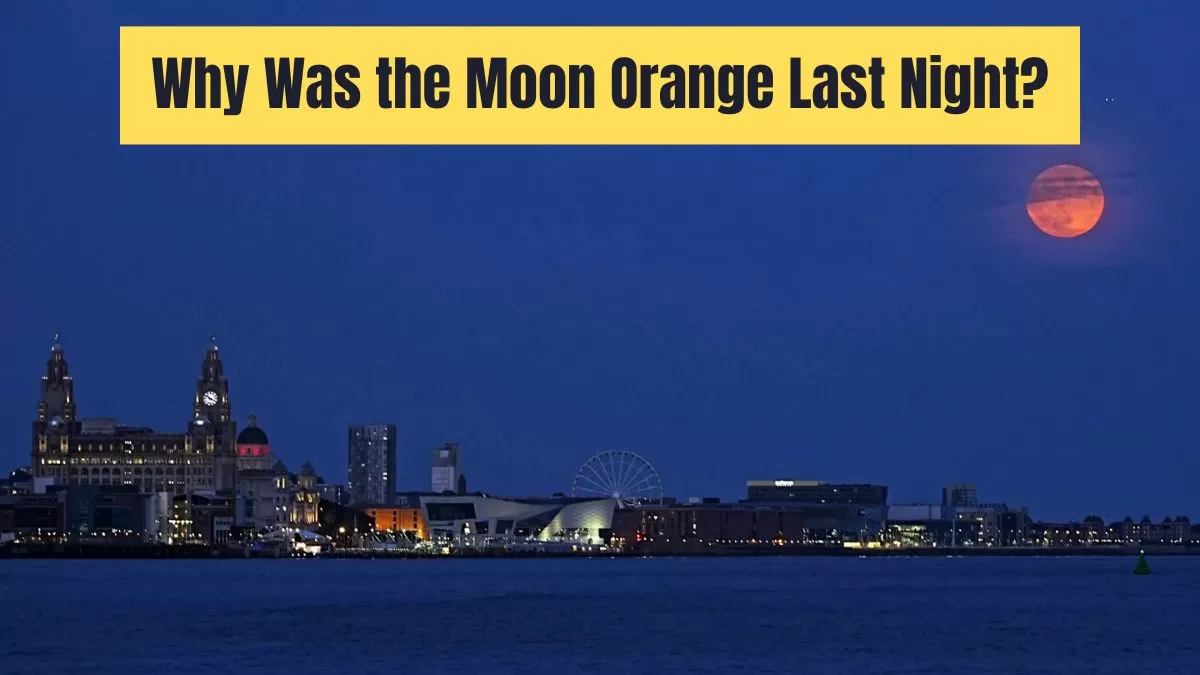 Why was Moon Orange last night?