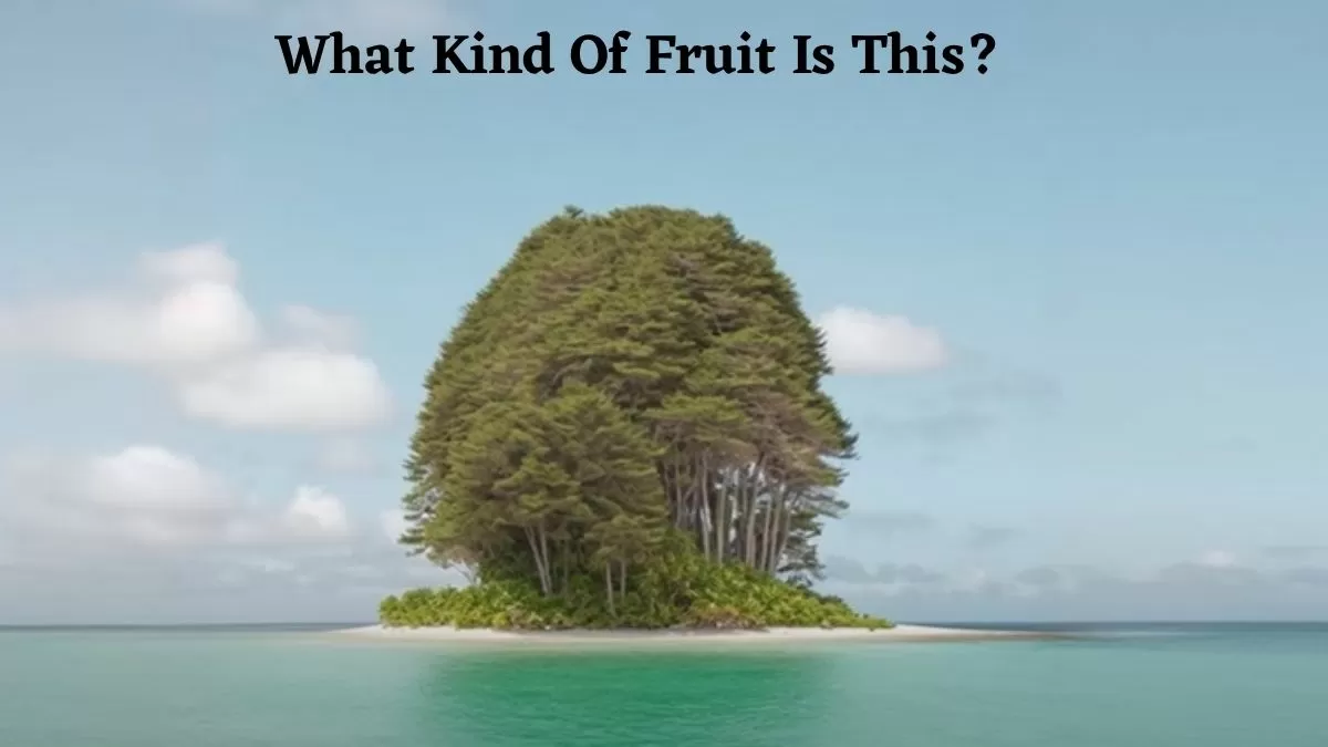 What Kind Of Fruit Is Appearing By Looking At This Dense Tree? Check Your 20/20 Eye Vision With This Optical Illusion!