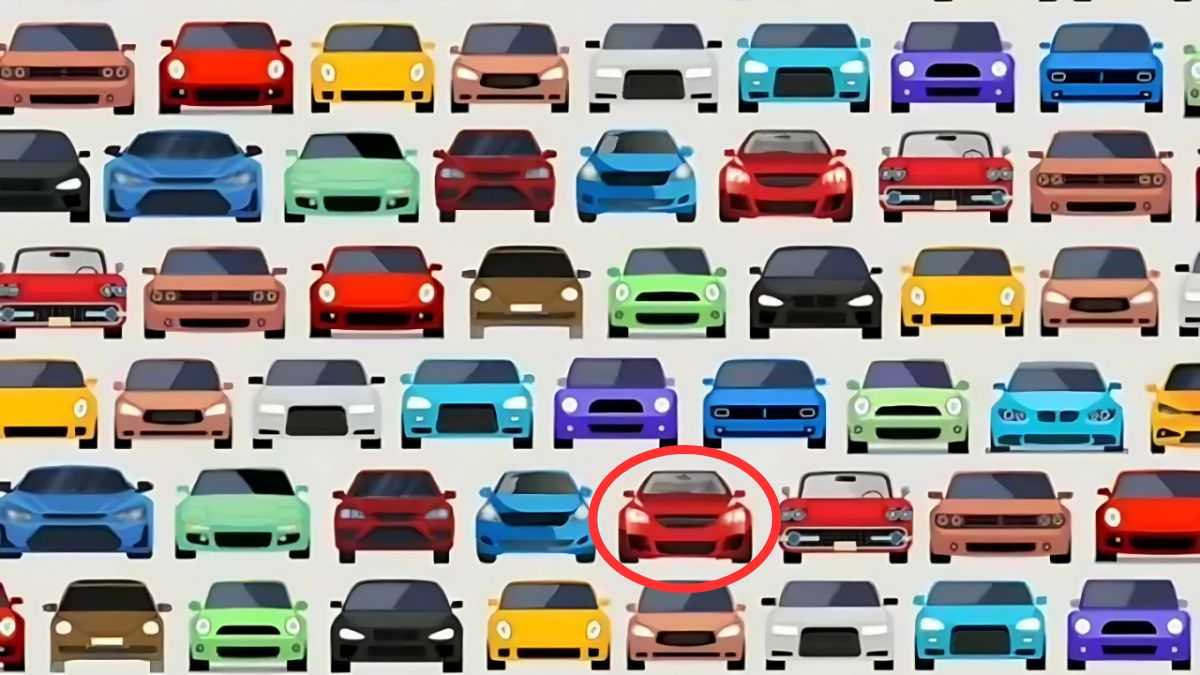 hidden optical illusions with answers