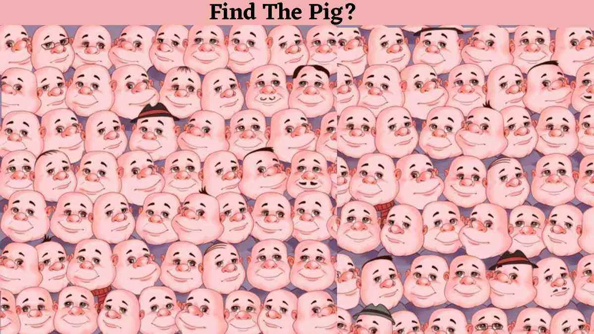 Do You Think You Have 140+ IQ Level? Then Spot the Pig Among the Bald Men!