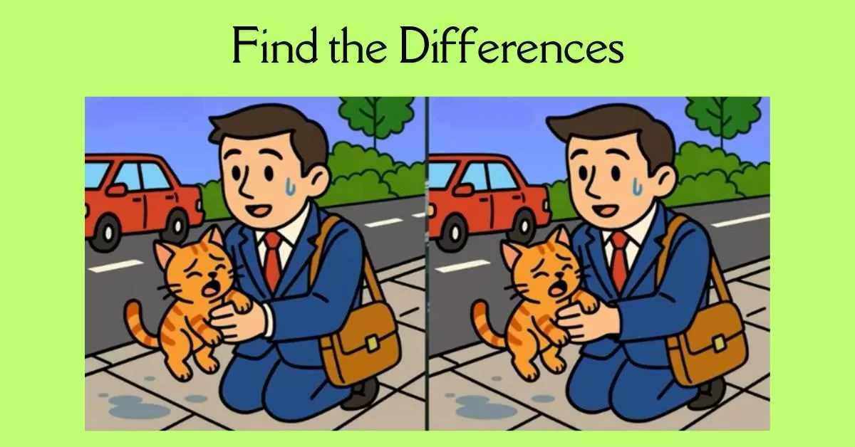 Spot the 3 Differences in Man Picking Up A Cat