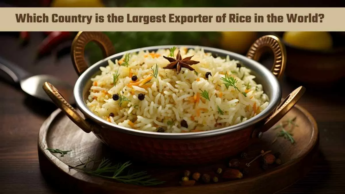  Largest Exporter of Rice in the World