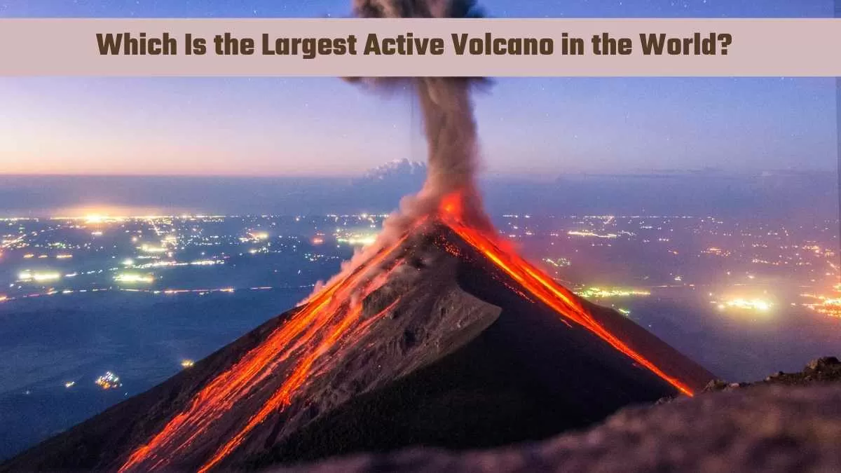 Which Is the Largest Active Volcano in the World?