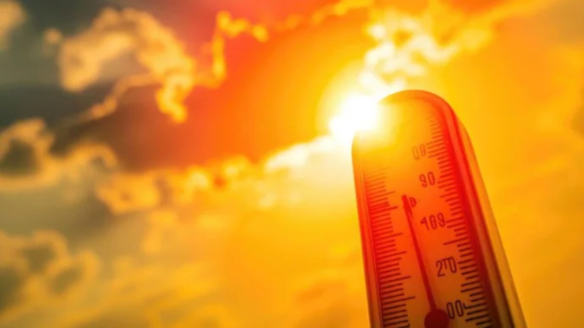 What is the Highest Temperature Ever Recorded in Delhi?