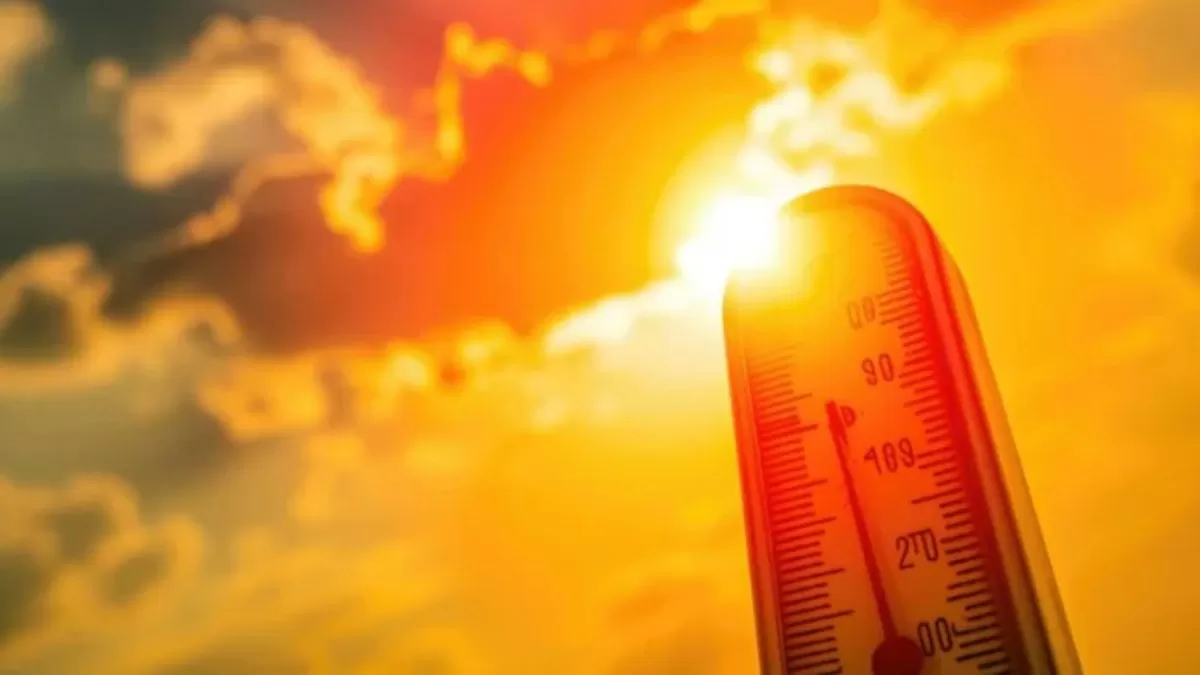 What is the highest temperature ever recorded in Delhi?