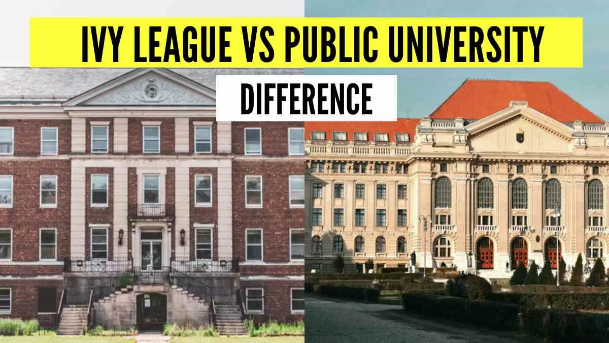 Ivy League and Public University Difference