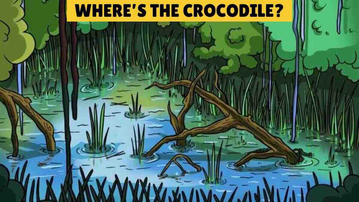 Only Sharp Eyes With 20/20 Vision Can Find the Hidden Crocodile in 5 Seconds!