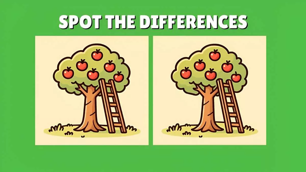 Can you spot the 3 differences in 11 seconds?