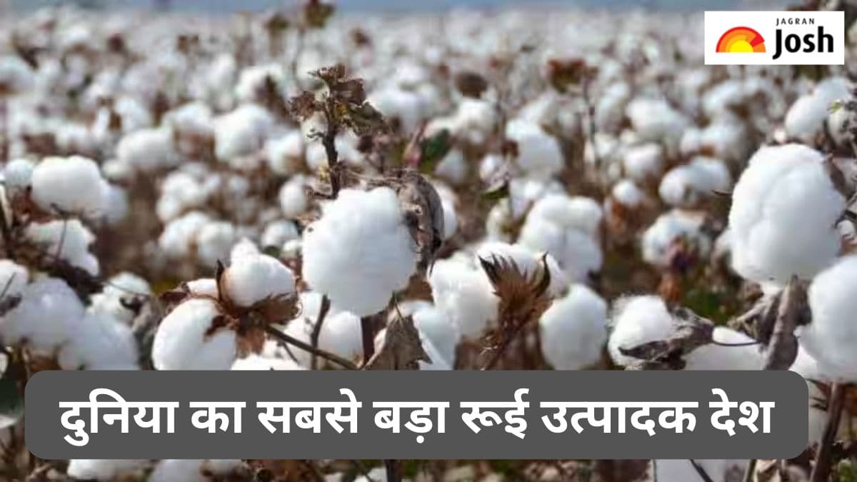 दुनिया का सबसे बड़ा रुई उत्पदाक देश कौन-सा है, यहां पढ़ें 