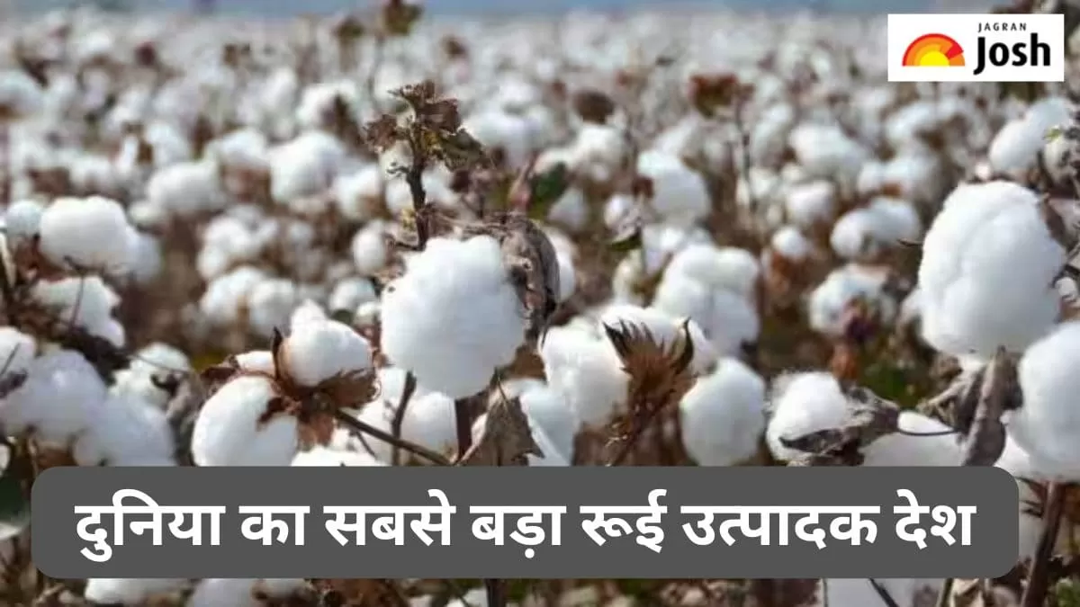 सबसे बड़ा रूई उत्पादक देश
