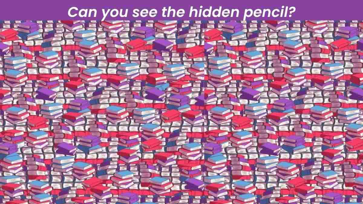 Only A Genius With An IQ of 200% Or More Can See The Hidden Pencil In Books!
