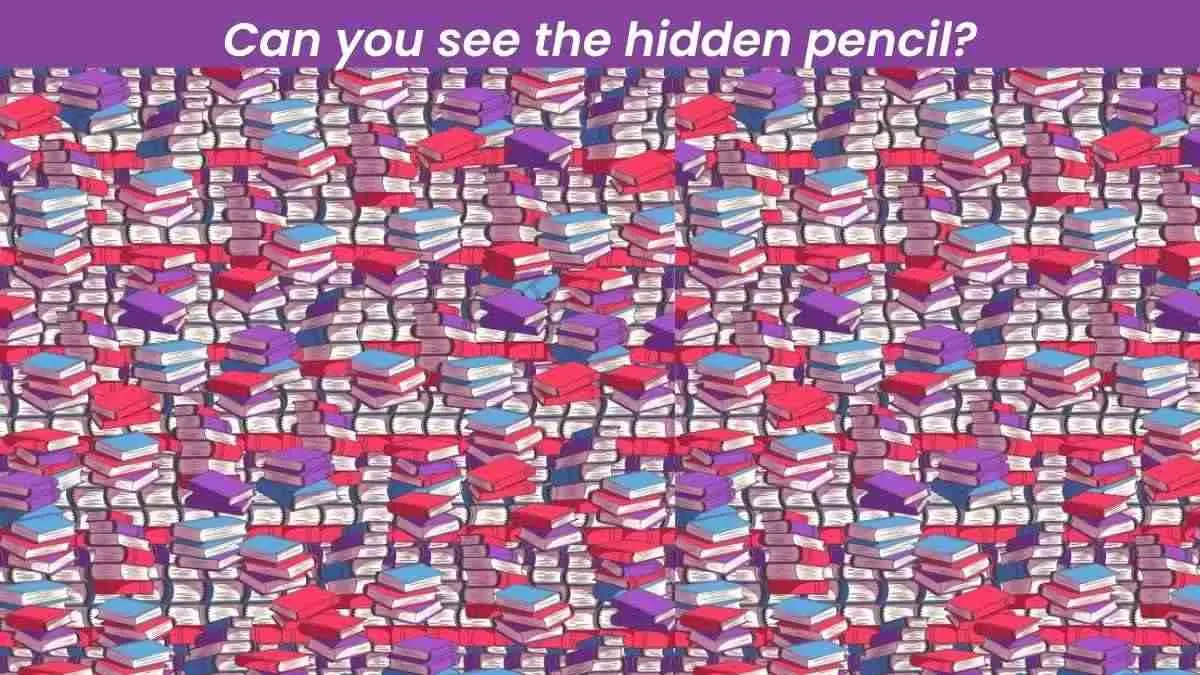 Only A Genius With An IQ of 200% Or More Can See The Hidden Pencil In Books!