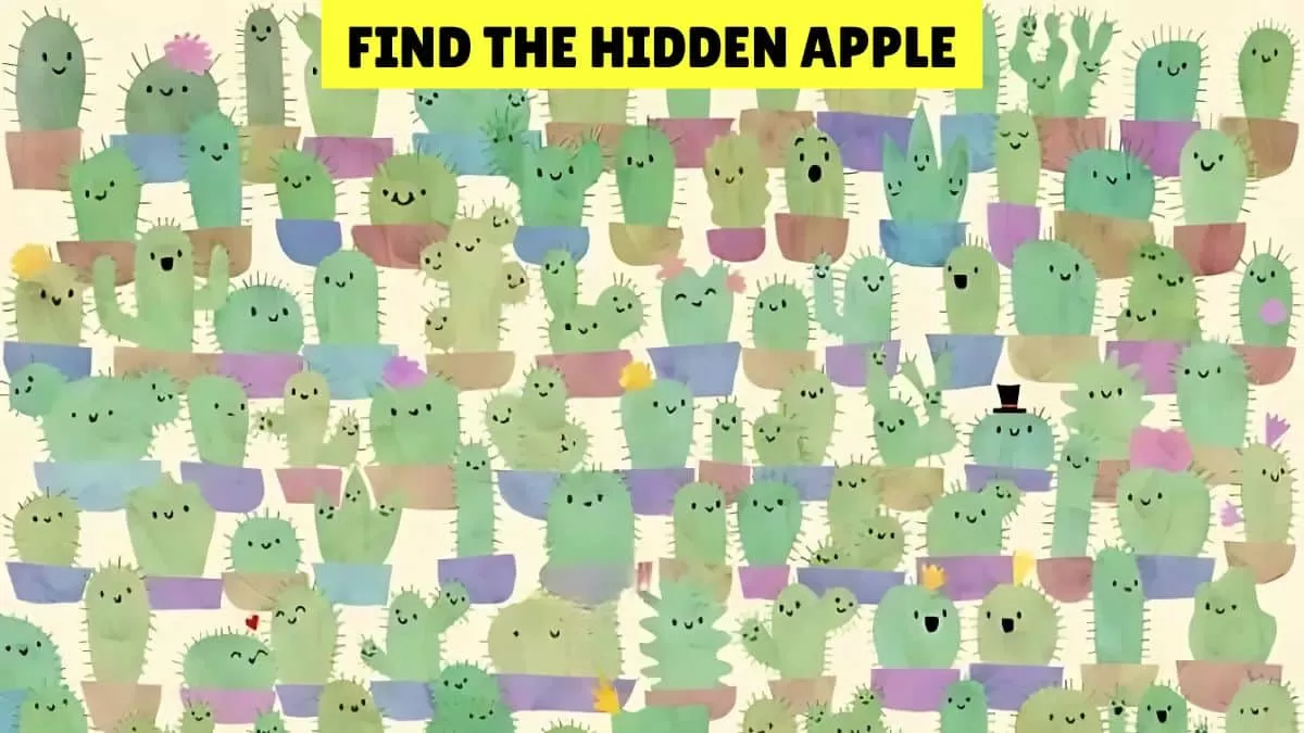 Find the hidden apple