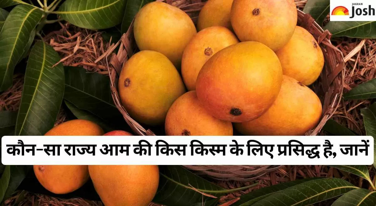भारत में आम की किस किस्म के लिए जाना जाता है कौन-सा राज्य, जानें