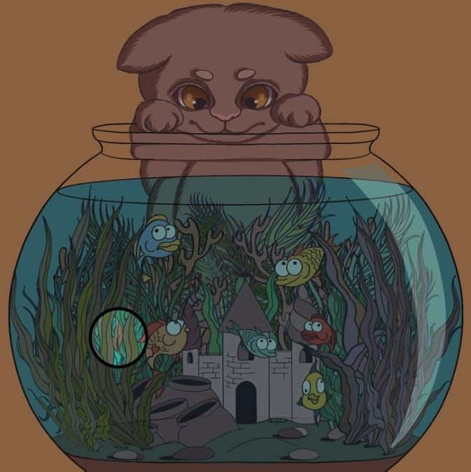 hidden optical illusions with answers