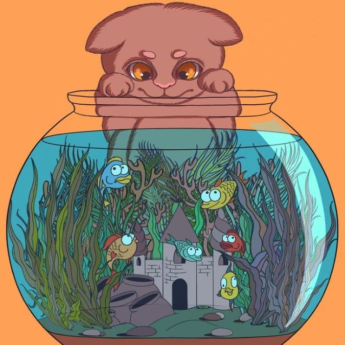 hidden optical illusions with answers