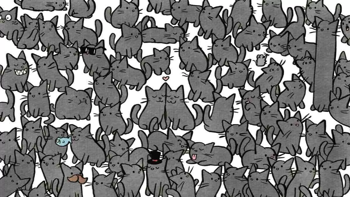 Spot 5 Horseshoes Hidden Among Black Cats!