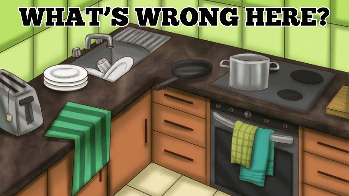 Are You Among Top 1% With Top-Notch Attention To Detail? Spot What's Wrong In This Kitchen In 5 Seconds!