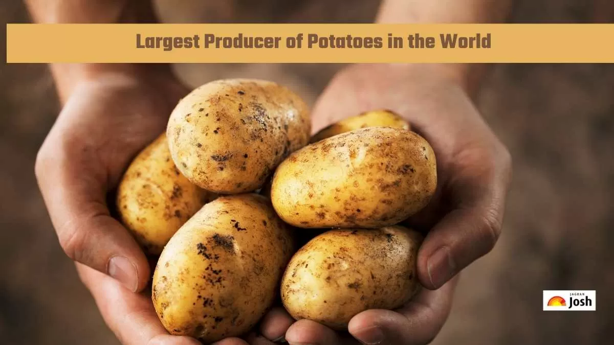 Largest Producer of Potatoes 
