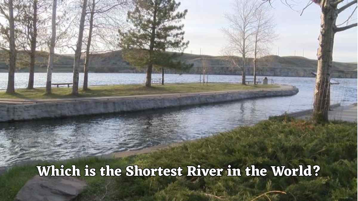 Which is the Shortest River in the World?
