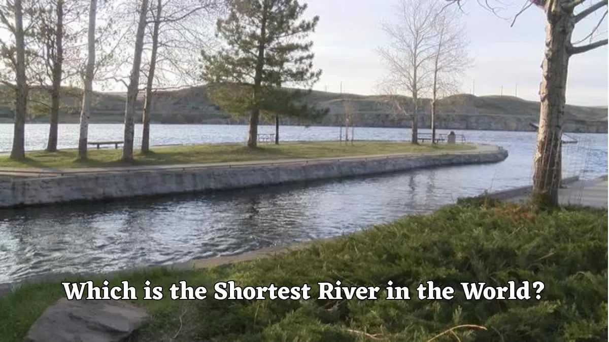Which is the Shortest River in the World?