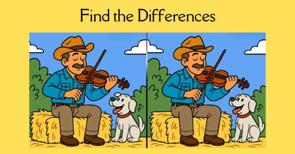 Spot the 3 Differences in Man Playing Violin 