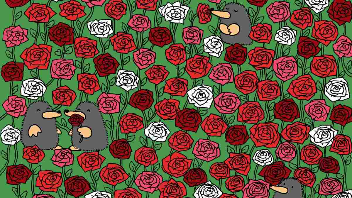Picture Puzzles IQ Test: Use Your Sharpest Eyes To Spot Three Tiny Hearts Hidden Among Roses In 5 Seconds!