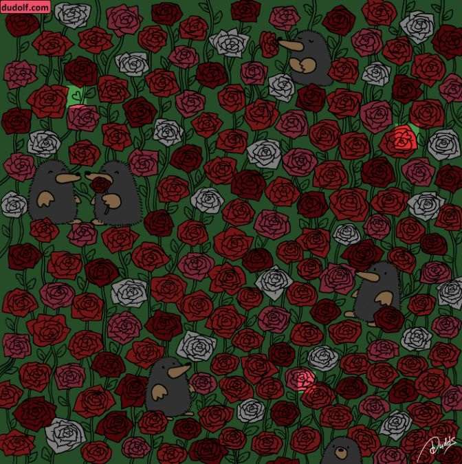 hidden picture puzzles with answers