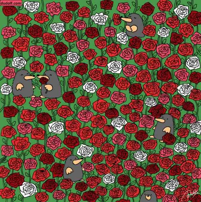 hidden picture puzzles with answers