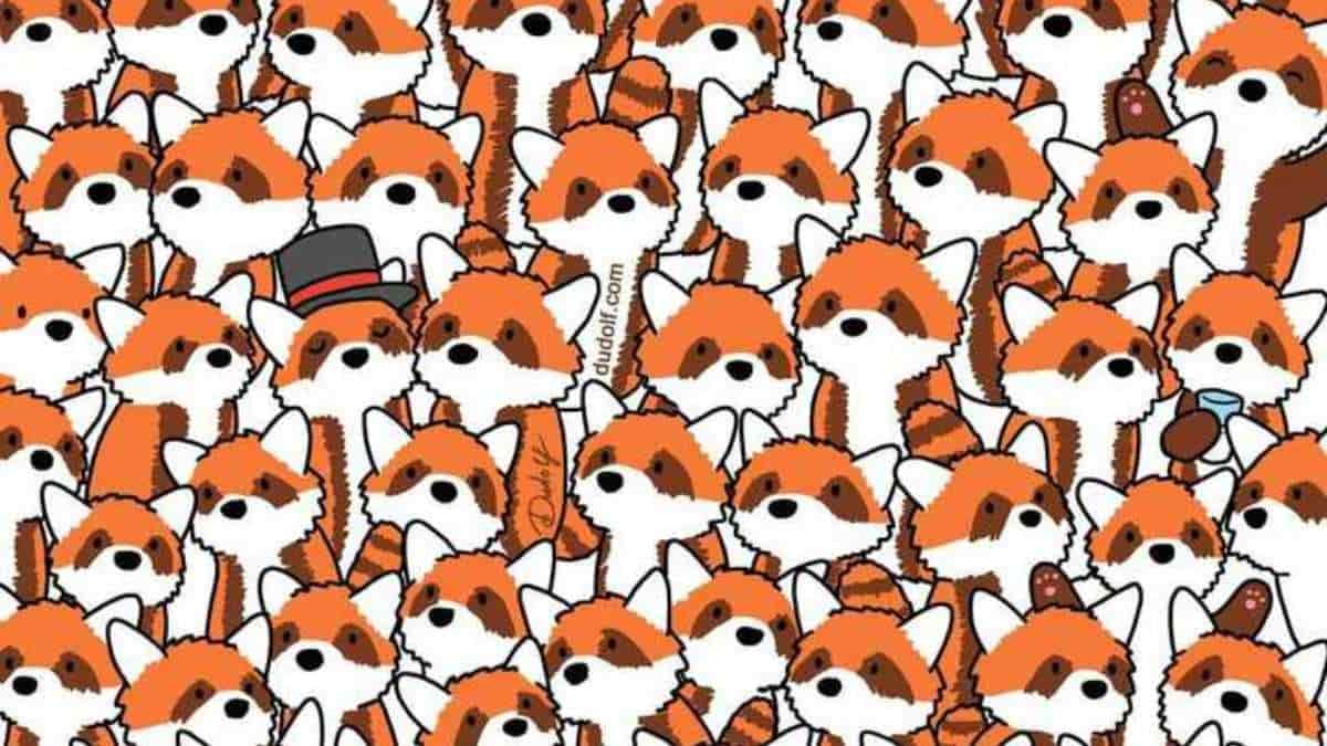 You have hunter’s eyes if you can spot three red foxes among red pandas in 9 seconds!