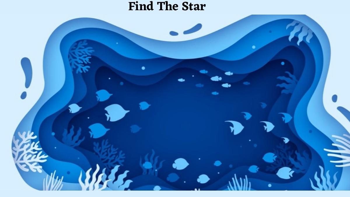 Only Those Who Have Perfect Eyesight And Have 6/6 Vision Can Find The Star In The River Pool!