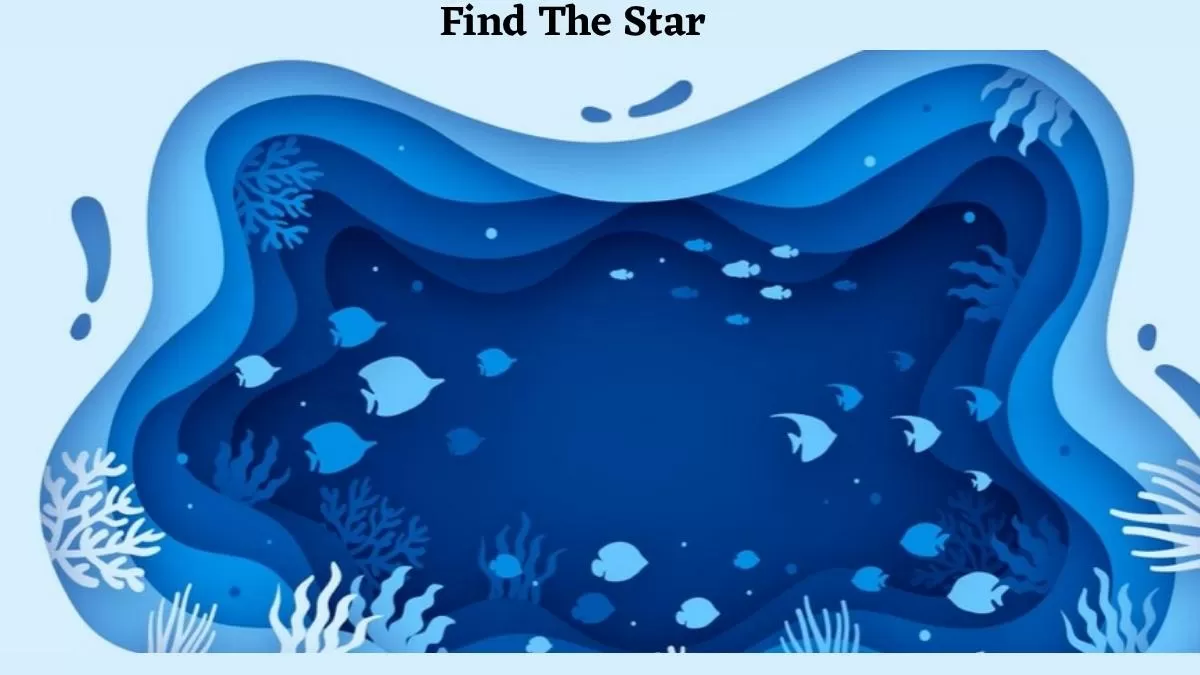 Only Those Who Have Perfect Eyesight And Have 6/6 Vision Can Find The Star In The River Pool!