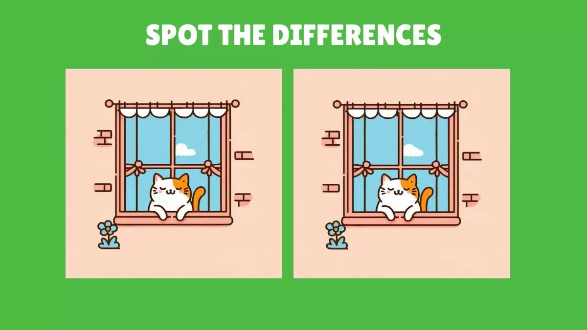 Spot 3 differences kitten peeping through the window