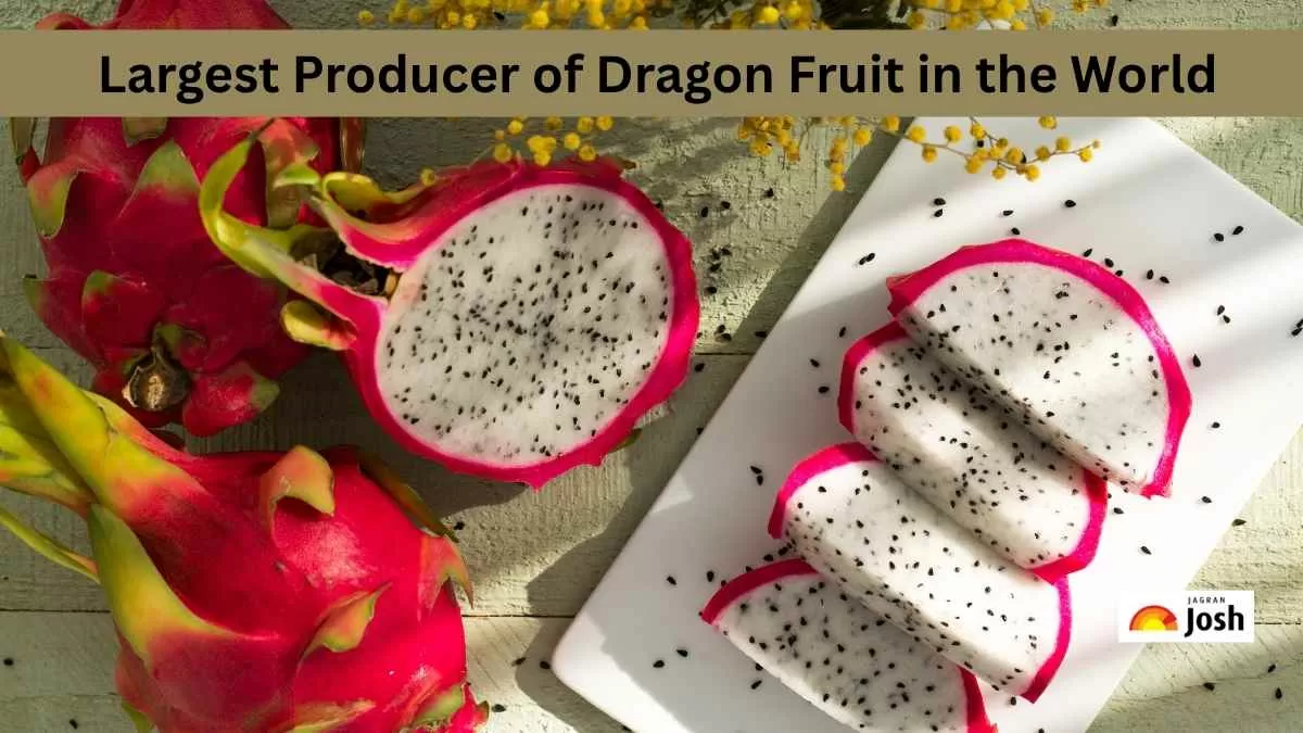  Largest Producer of Dragon Fruit in the World