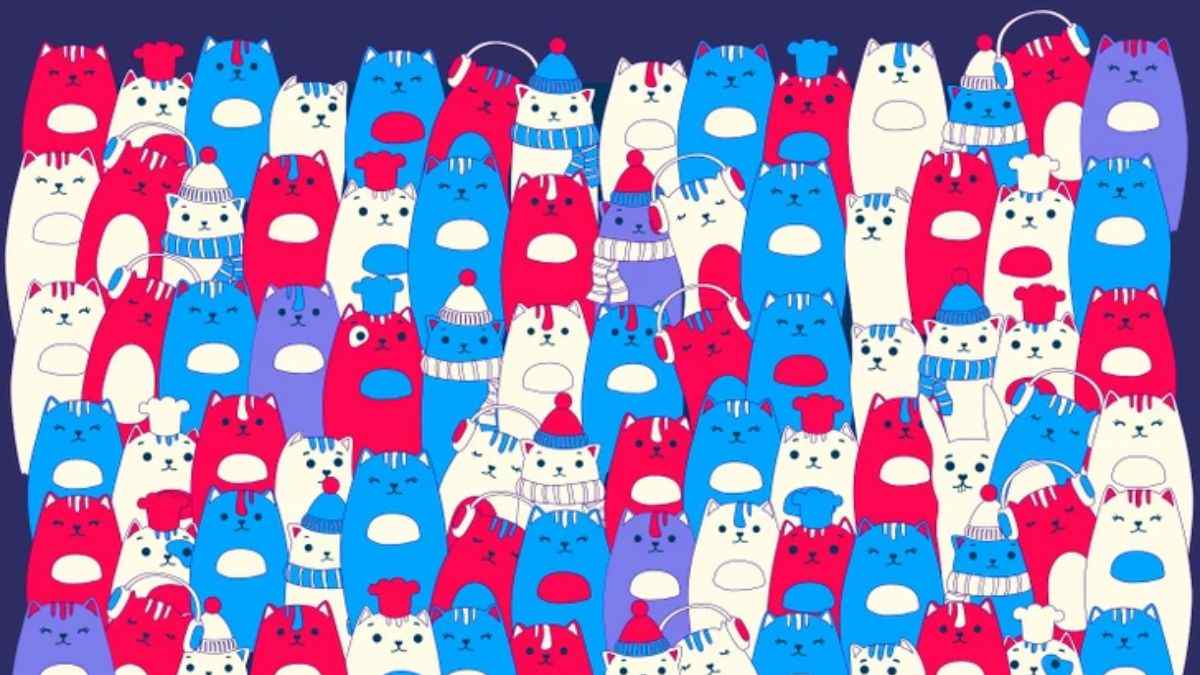 Optical Illusion: Spot the Rabbit Hidden Among Cats in 5 Seconds! Only 1% Pass This Visual IQ Test!