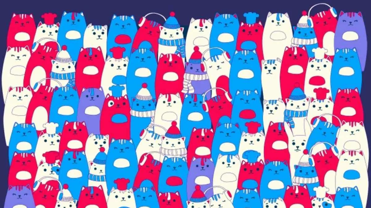 Spot the rabbit.