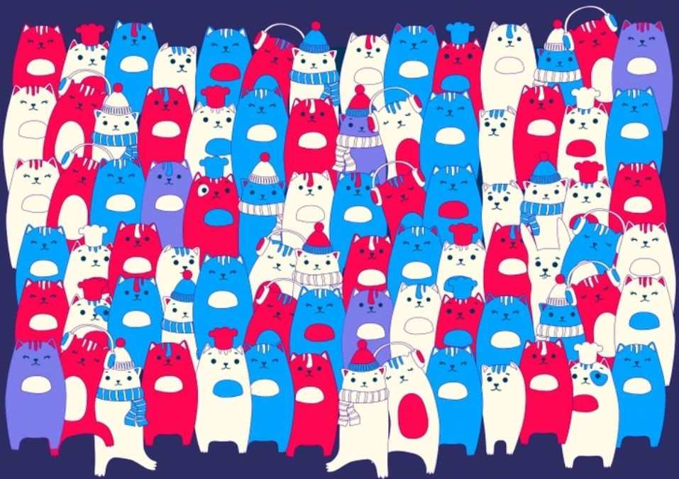 hidden optical illusions with answers