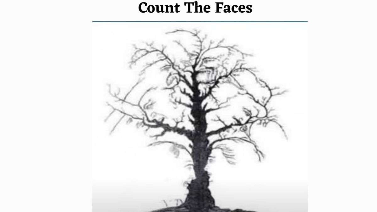 Optical Illusion: 99% Failed to Find Out the Number Of Hidden Face In The Tree. Can You Solve it in just 7 Seconds?