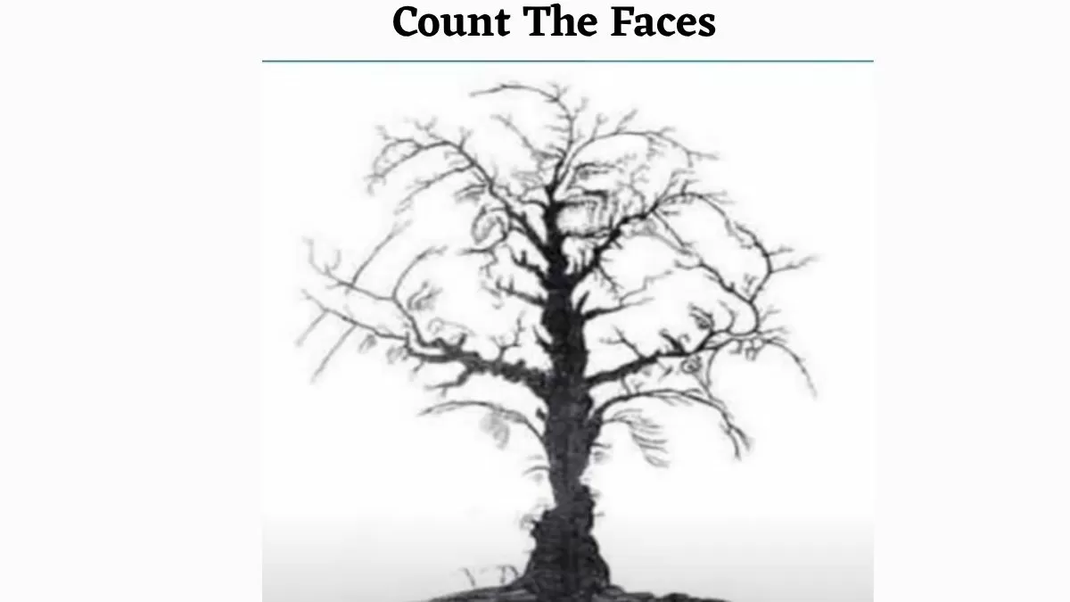 Optical Illusion: 99% Failed to Find Out the Number Of Hidden Face In The Tree. Can You Solve it in just 7 Seconds?