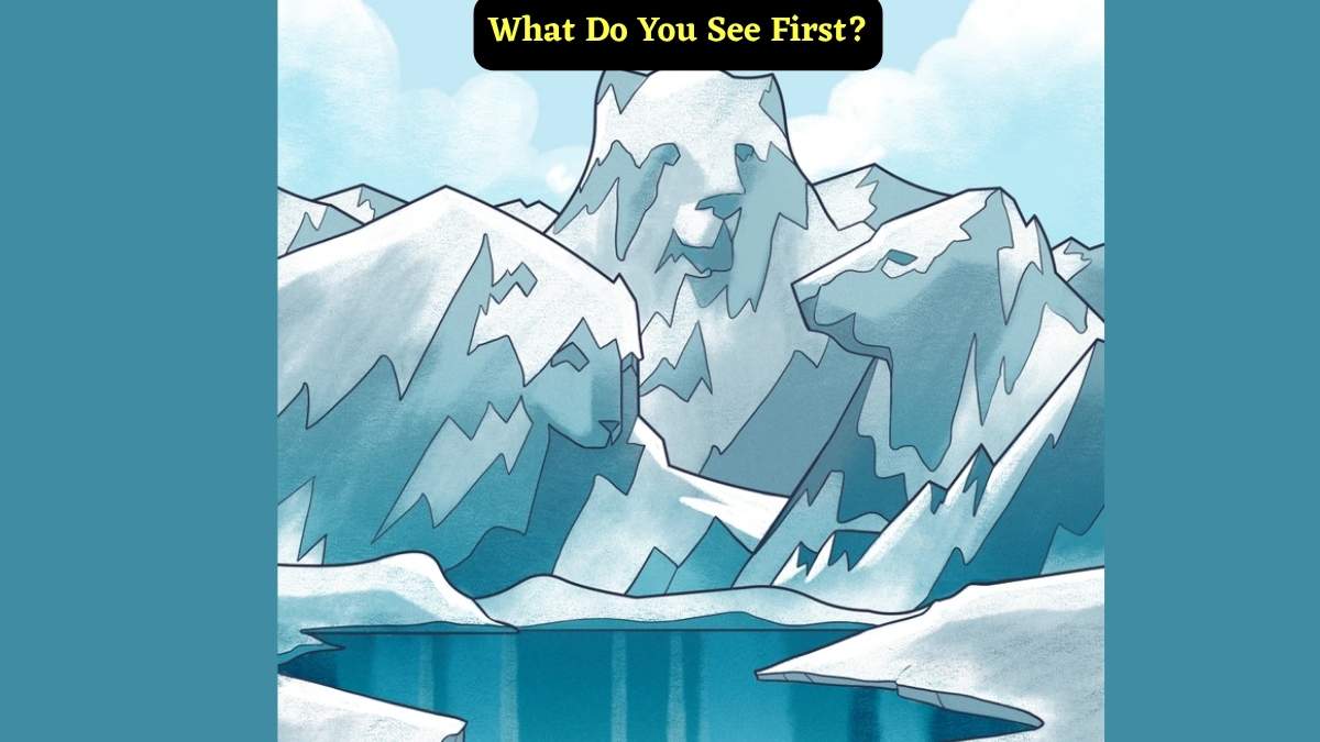 Personality Test: What Do You See First? Snowy Mountains or Bears!