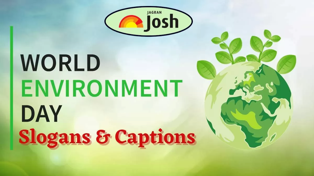 Check Powerful Slogans and Captions for World Environment Day 2025