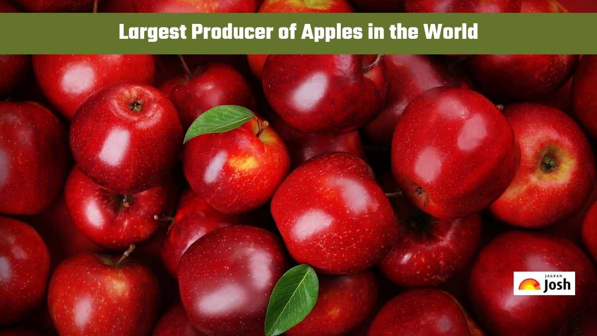 Which Country is the Largest Producer of Apples in the World?