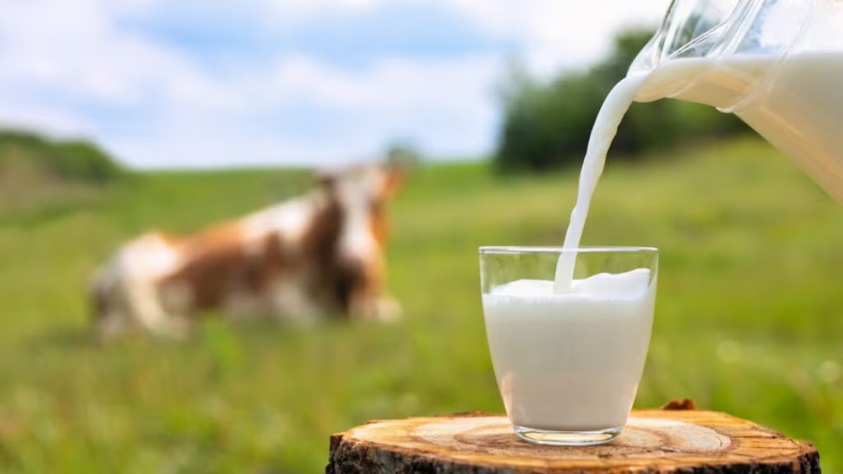 Which Country is the Largest Producer of Milk?